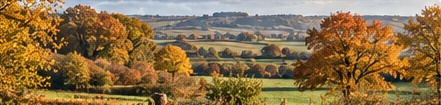 Autumn countryside
